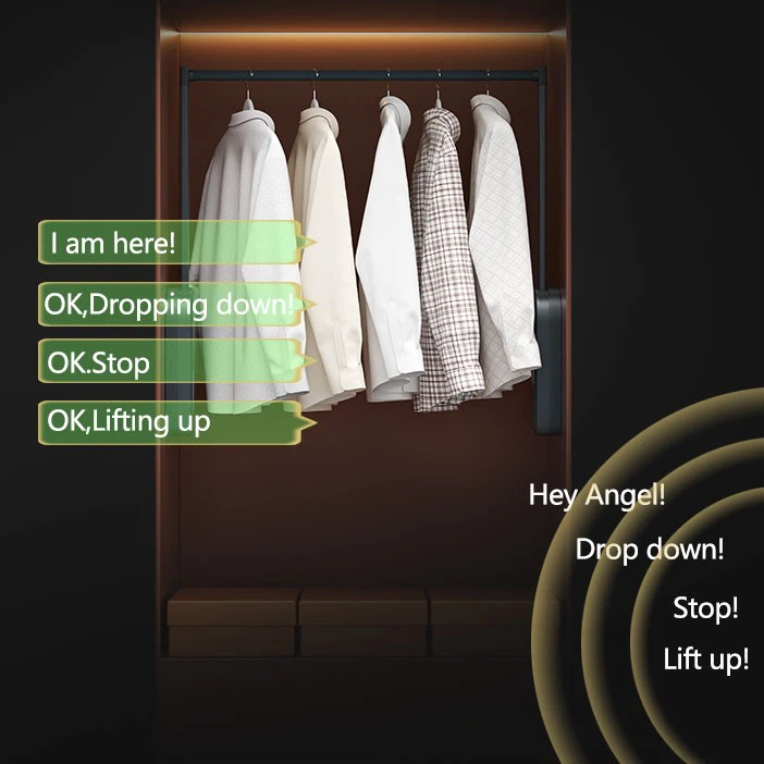 Smart Wardrobe Electric Lifting Clothes Rod (3)